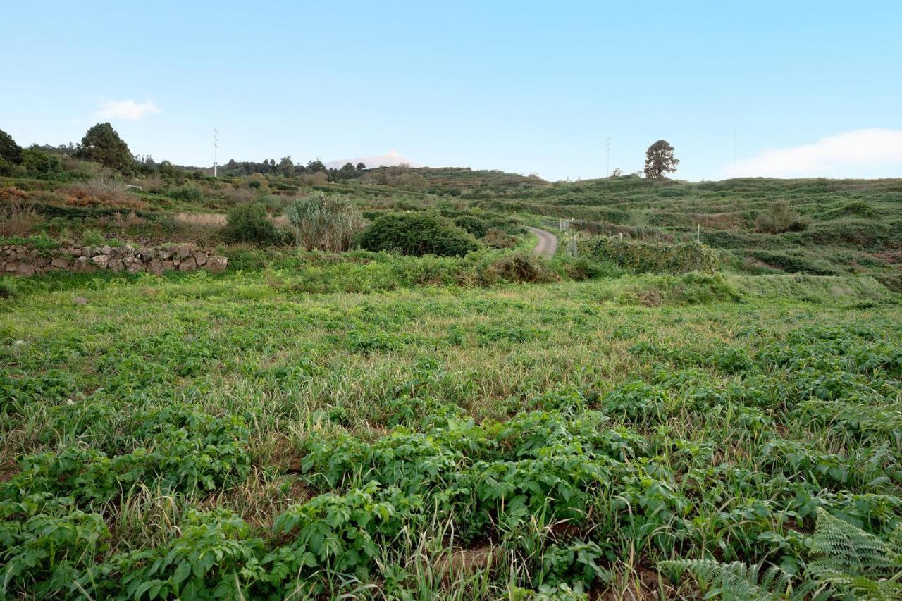 El Nogal Villa San Juan de la Rambla Kültér fotó